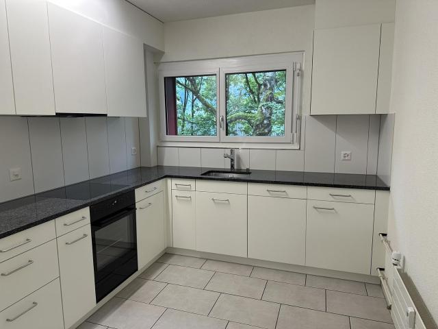 Appartement 4 pièces à louer à Brugg Flatfox