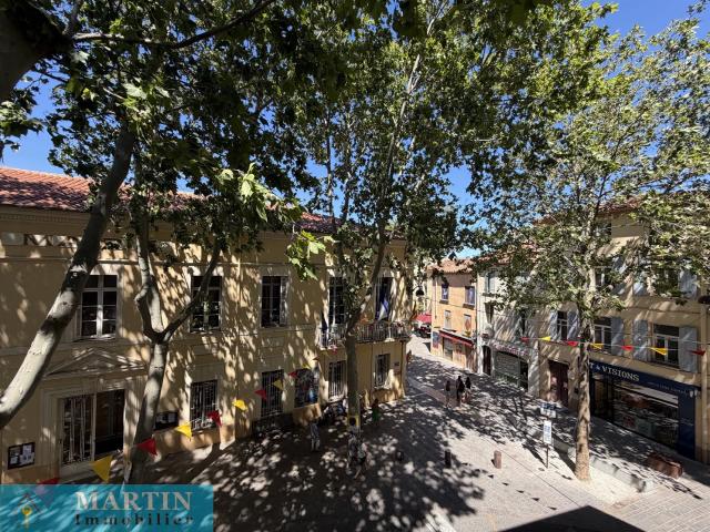 Appartement 4 Pieces En Centre Ville 93m² Céret