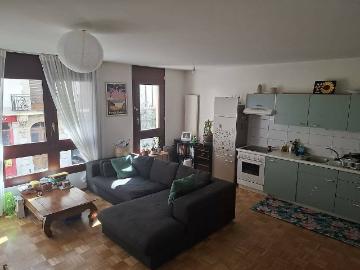 Plainpalais, Genf, Kanton Genf