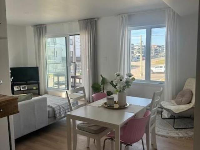 Appartement 4 1/2 Neuf à Louer