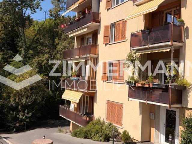 Appartement,4.5,99