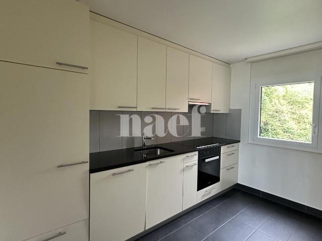 Appartement 4.5 pièces avec vue sur le lac