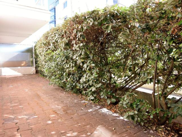 Appartement 50 m plage ! 37m² Arcachon