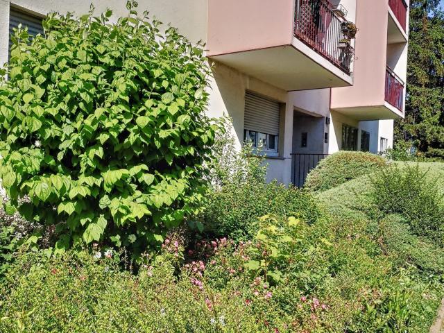 Appartement 5 pièces 85 m²