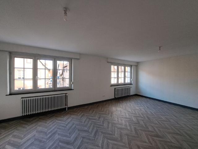 Appartement 5 pièces, 130 m² à louer à Sarralbe 57430