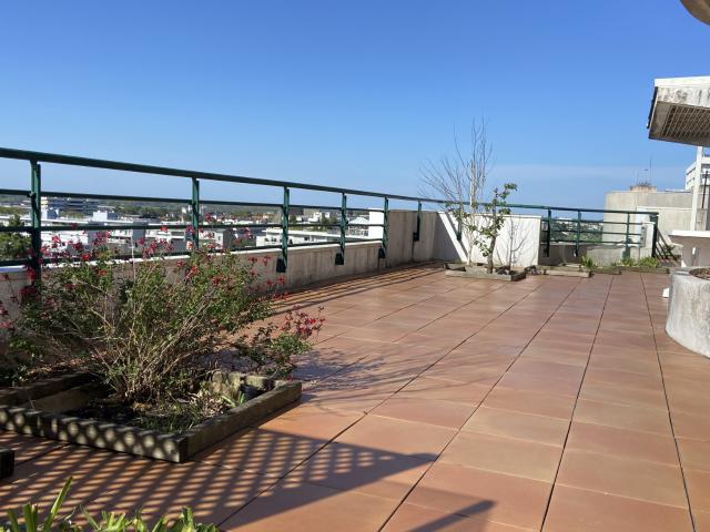 Appartement 5 pièces 196 m²