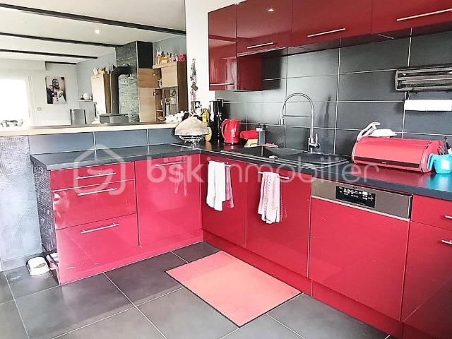 Appartement 100.50 m2 / sous sol complet garage / jardin / parking