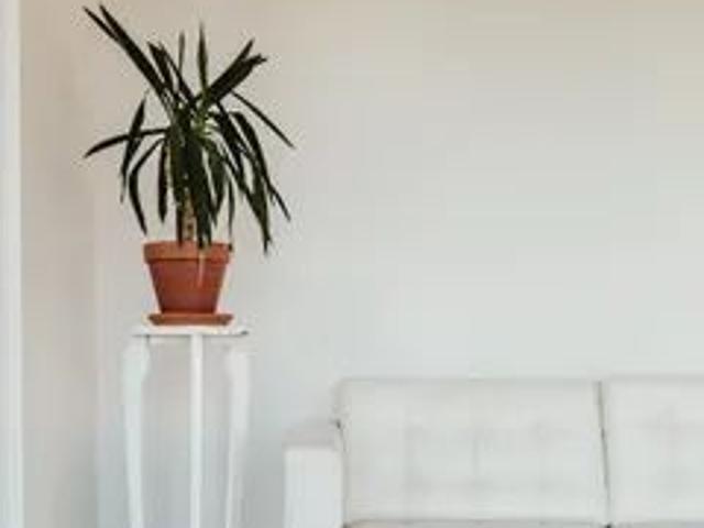 Appartement · 185 m² · Westmount