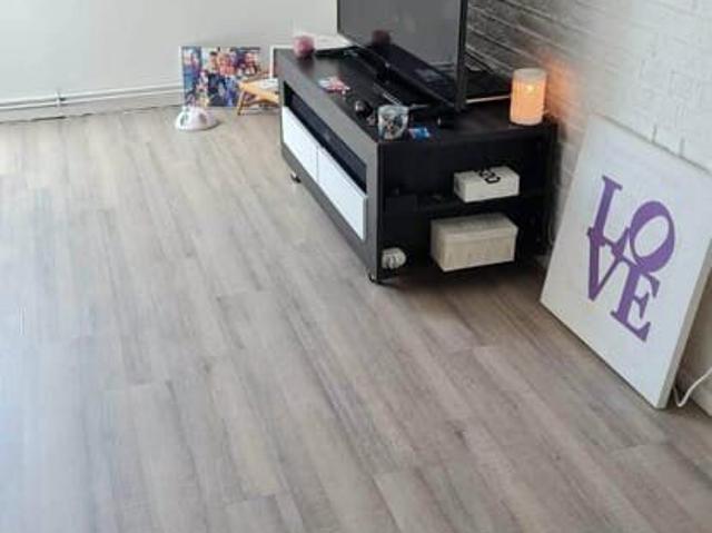 Appartement 1 ch. lum. avec velux, EPC C