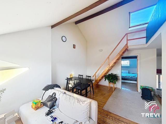 Appartement 1 chambre