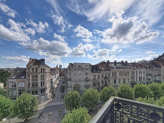 Appartement 1 chambre