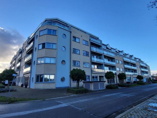 Appartement 1 chambre