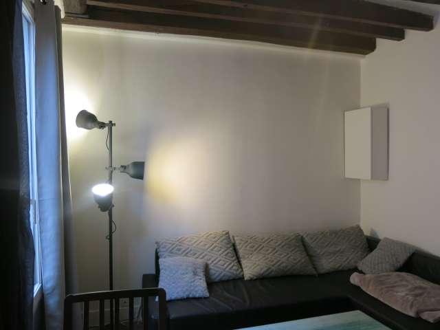 Appartement 1 chambre à louer à République Saint Ambroise