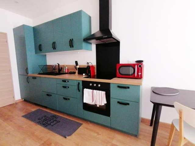 Appartement 1 chambre à louer à Sète