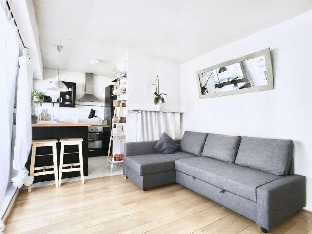Appartement 1 chambre à louer à Vaugirard, Paris