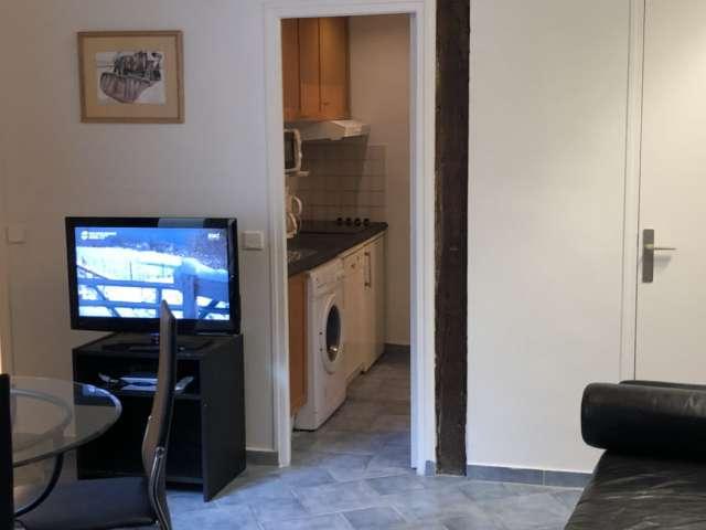 Appartement 1 chambre à louer à 6Ème Arrondissement, Paris