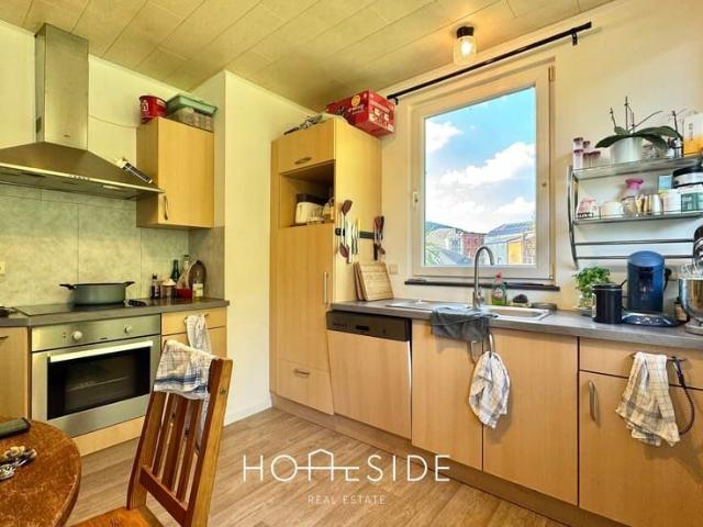 Appartement 1 chambre avec jardin à Trois Ponts