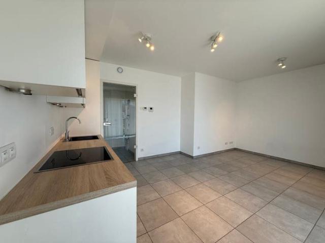Appartement 1 chambre de 47m² récent en bon état !