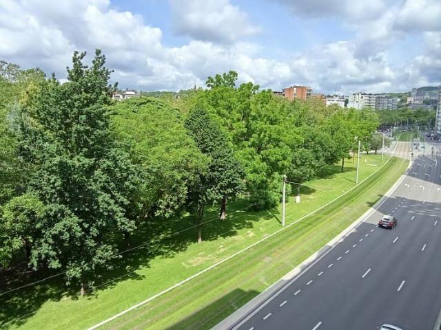Appartement 1 chambre en plein cœur du centre ville