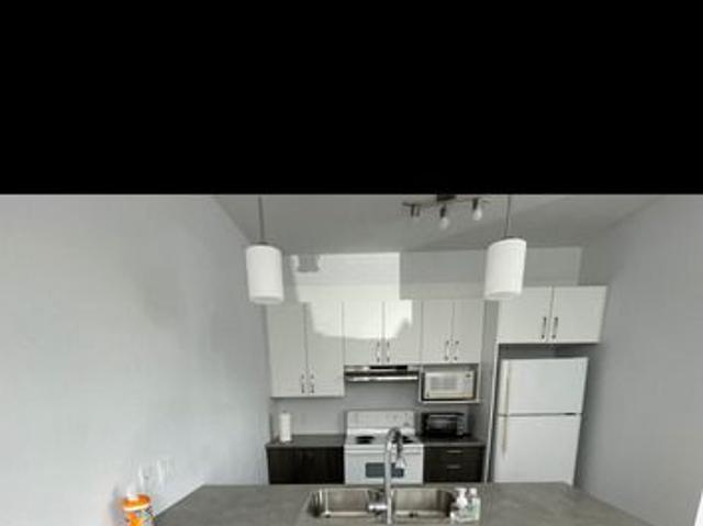 APPARTEMENT 1 CHAMBRE ET 1 DOUCHE