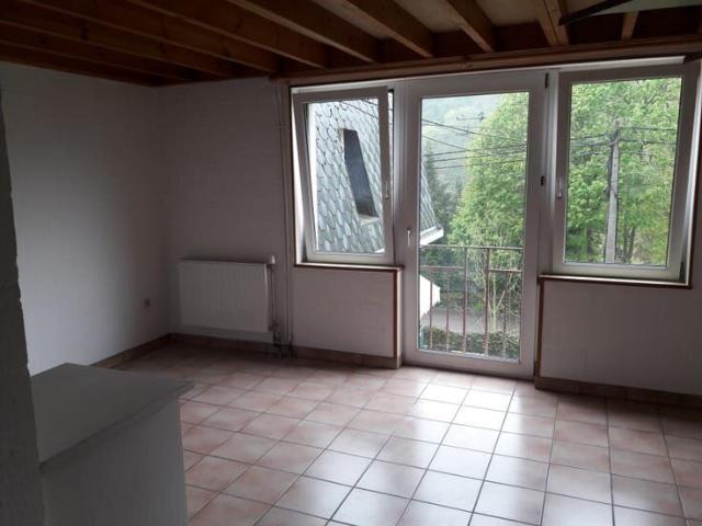Appartement 1 chambre La Roche en Ardenne