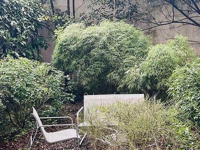Appartement 1 chambre meublé avec garage, jardin et ascenseur Bastille Paris 11°