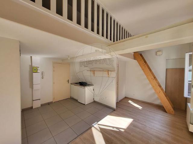 Appartement 1 chambre s à louer