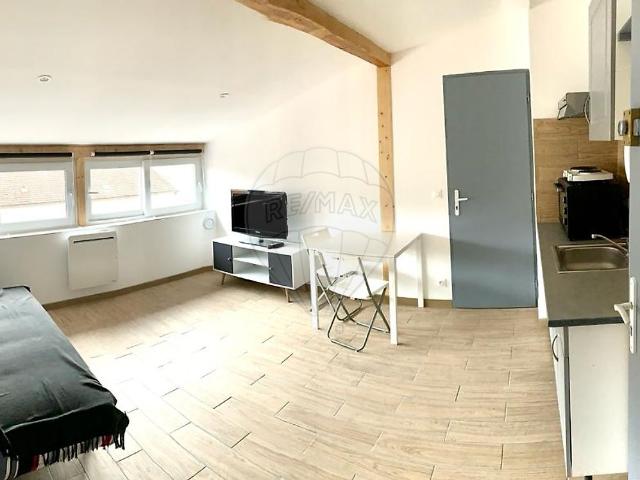 Appartement 1 chambre s à louer