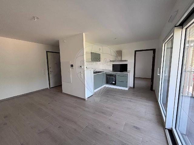 Appartement 1 chambre s à louer