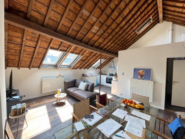 Appartement 1 chambre, poutres apparentes, PEB: B Liège