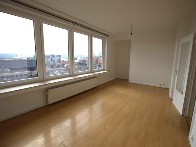 Appartement 1 chambre, parfait état, très lumineux et calme