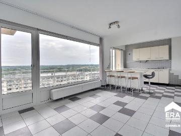 Appartement 1 Chambre Terrasse