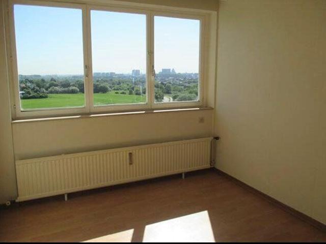 Appartement 1 chambre + terrasse