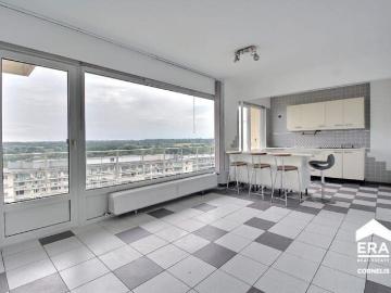 Appartement 1 Chambre Terrasse