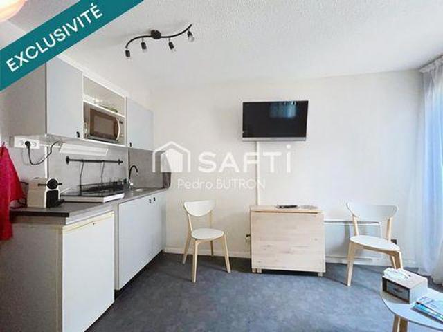 Appartement 1 chambres, Bagneres Midi 31110 DS101996211