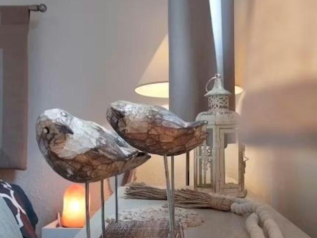 Appartement 1 chambres, Blonville Blonville 14910 DS98101453