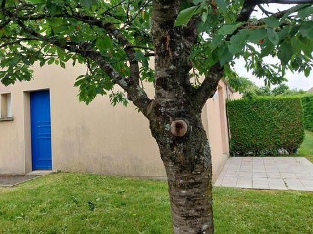 Appartement 1 chambres, Evron Pays de la Loire 53600 DS103218723