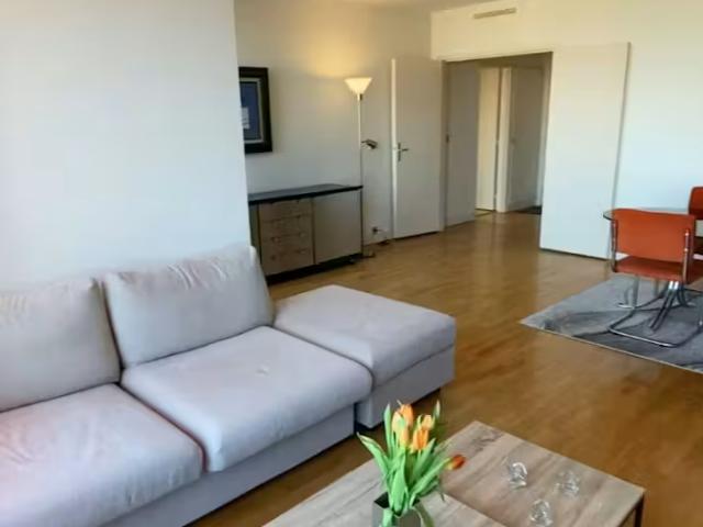 Appartement 1 chambres, Paris Paris 75015 DS98538285