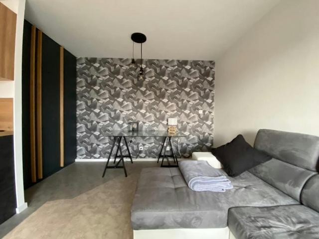 Appartement 1 chambres, Strasbourg Strasbourg 67000 ES82008192
