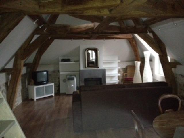 Appartement 1 pièce avec mezzanine