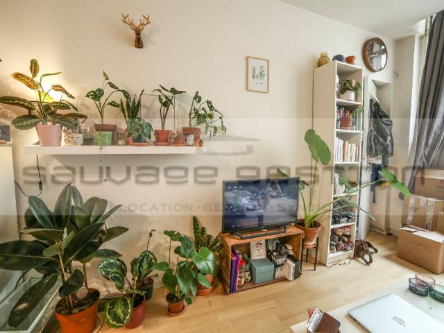 Appartement 1 pièce à louer