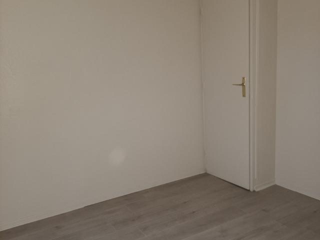 Appartement 1 pièce à louer