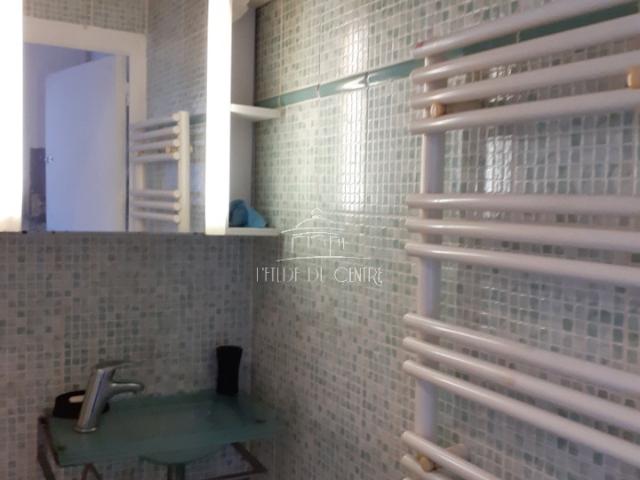 Appartement 1 pièce Loué