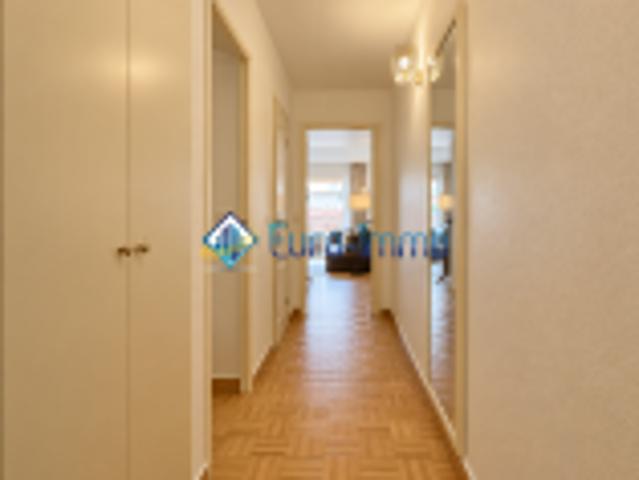 Appartement 1 pièce s 37 m²