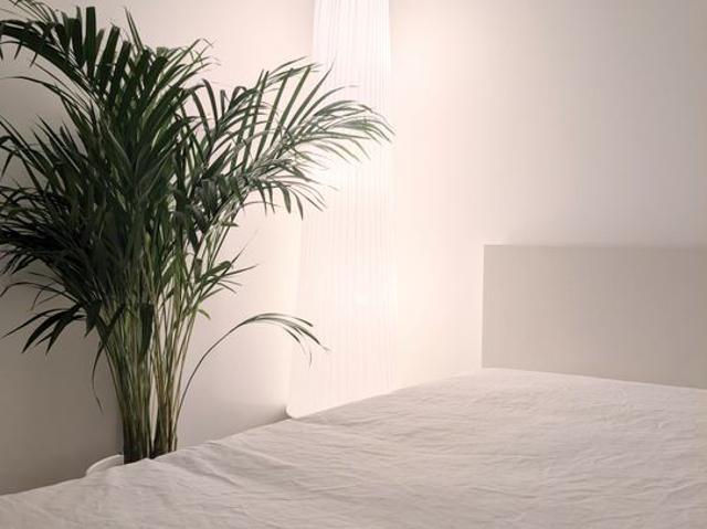 Appartement 1 pièce, 14 m² à louer à Nantes 44000
