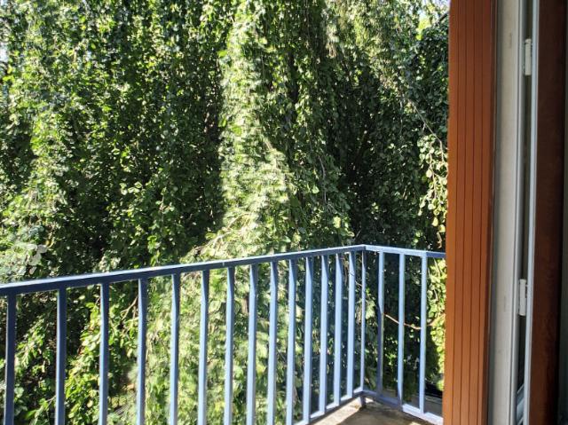 Appartement 1 pièce 15 m²