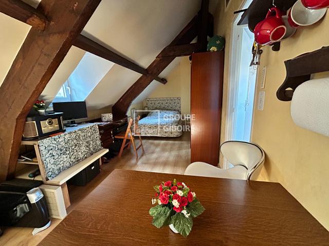 Appartement 1 pièce 15 m²
