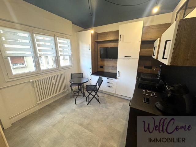 Appartement 1 pièce, 15 m² à louer à Aix les Bains 73100