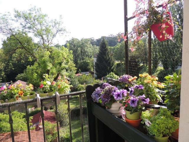 Appartement 1 pièce, 15 m² à louer à Écully 69130