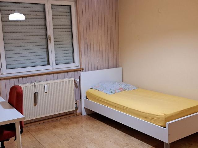 Appartement 1 pièce, 15 m² à louer à Strasbourg 67000